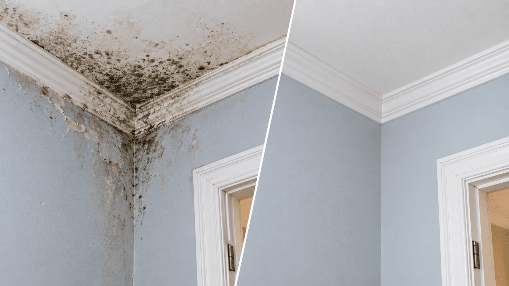 Visible Mold on Walls or Ceilings